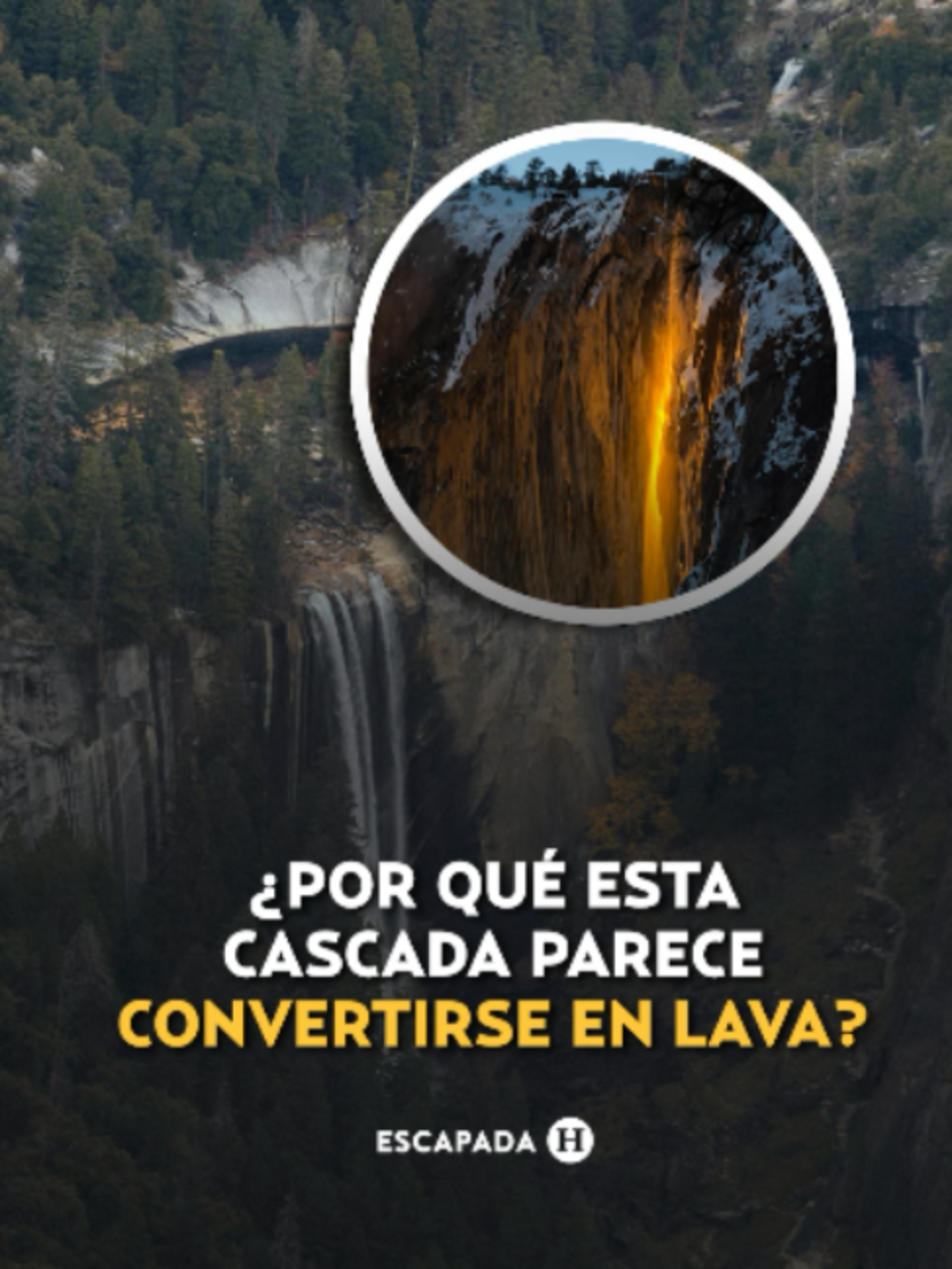 @elheraldodemexico