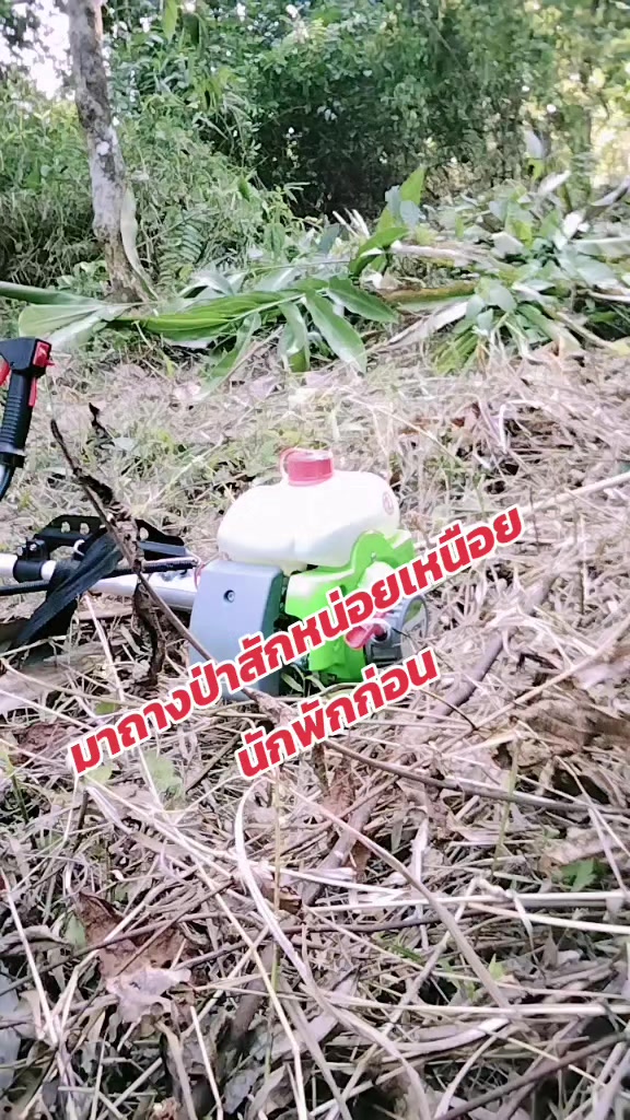 @ซัน(1992)เด็กใต้ป้ายนราฯ