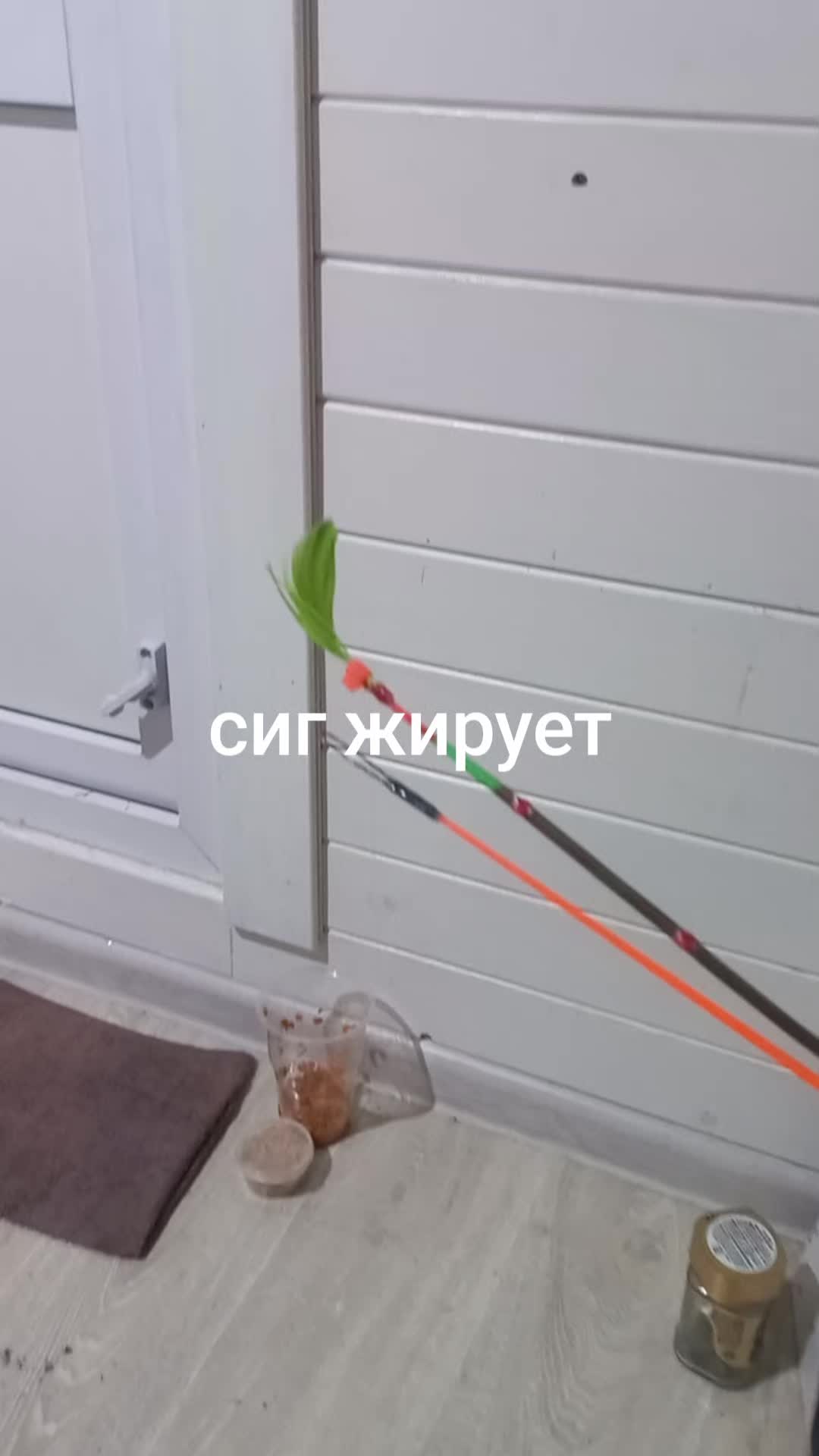 @Дмитрий.Кульков.97 .