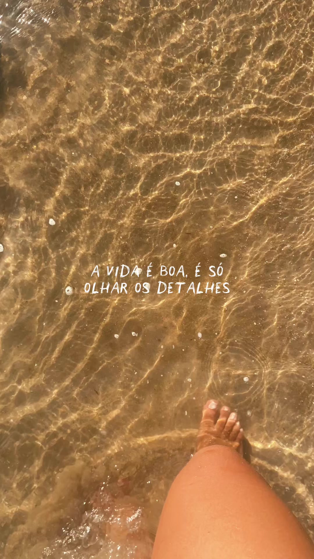 @Laissa Galvão