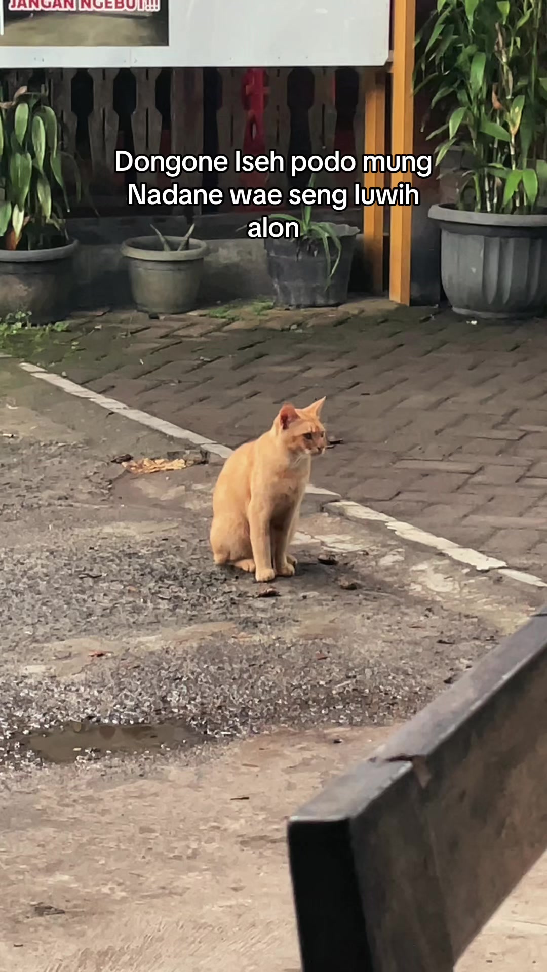 @Storyjowo.id