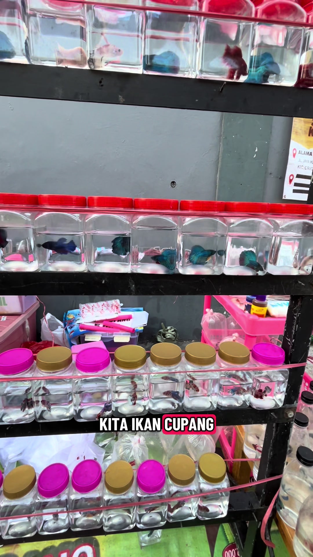 @kembaran tehyung