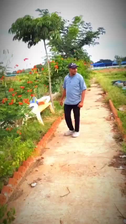 @shroffakhilesh