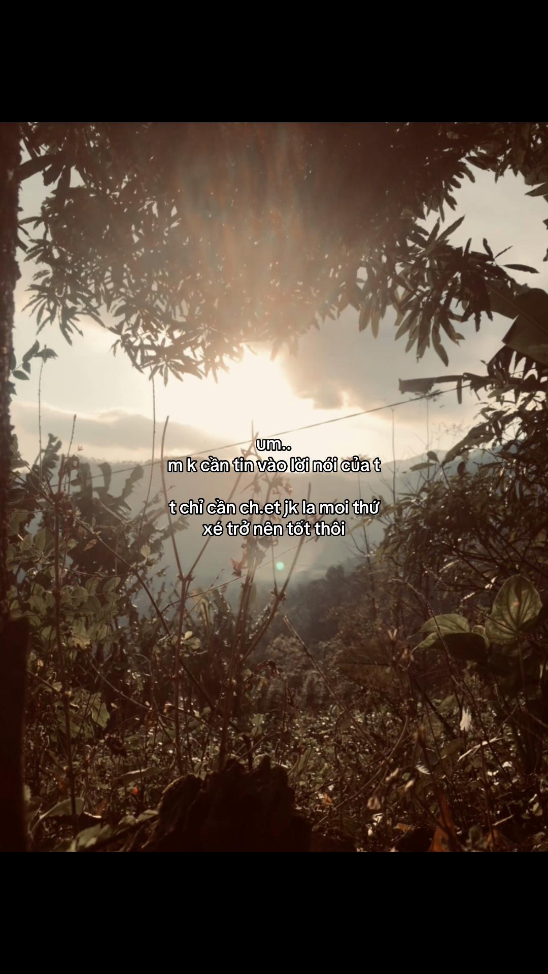 @cảm x&uacute;c