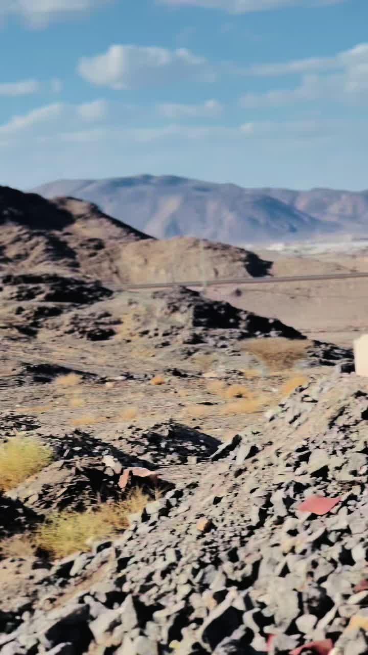 @سردار جیدی جندانی