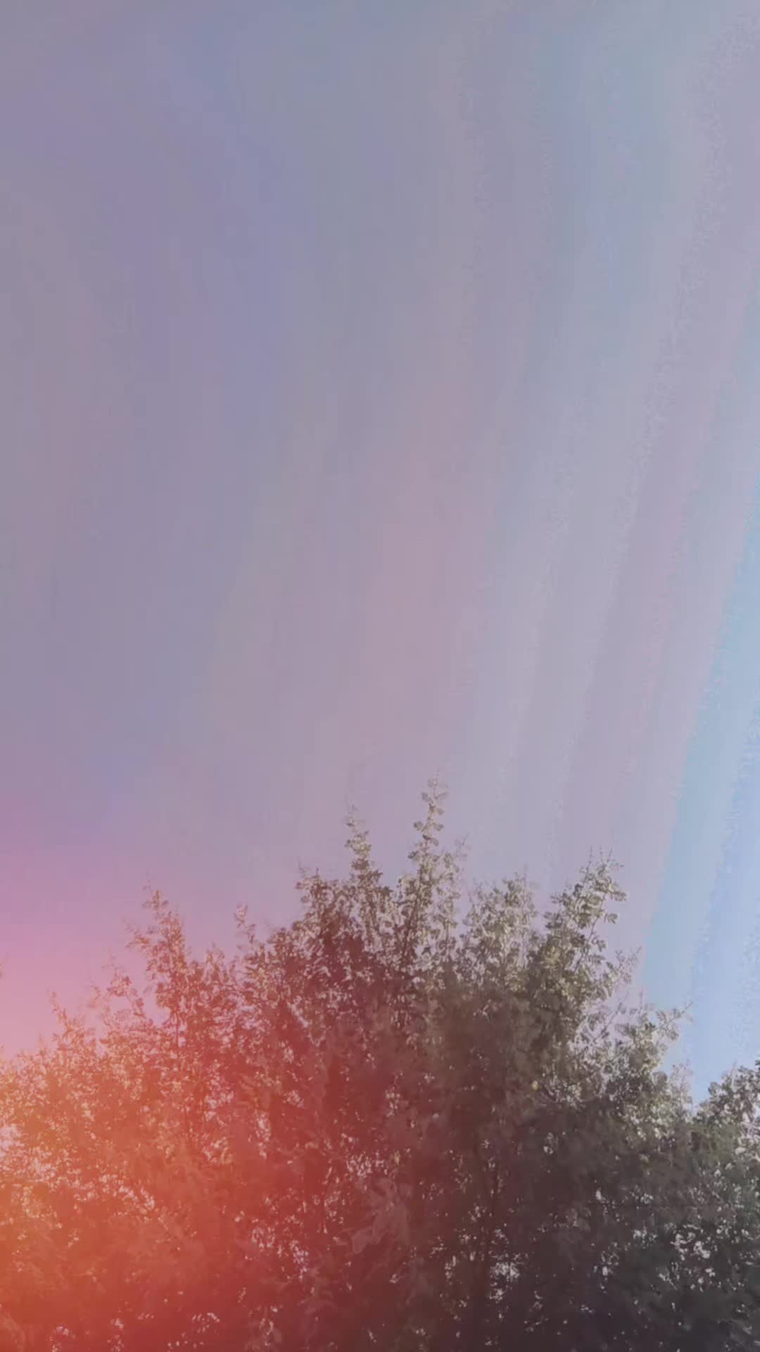 @▄︻デ🅜🅐🅛🅘🅚══━一