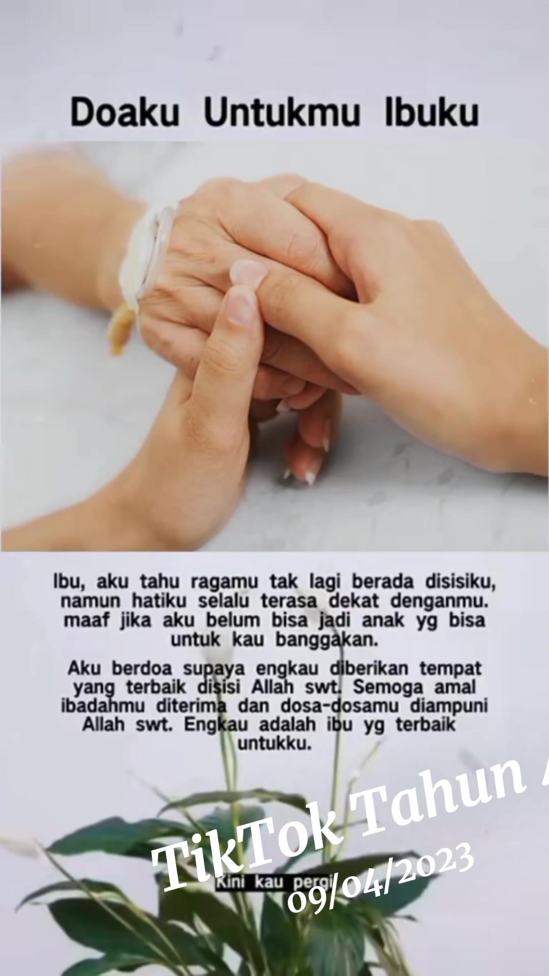 @vinca494