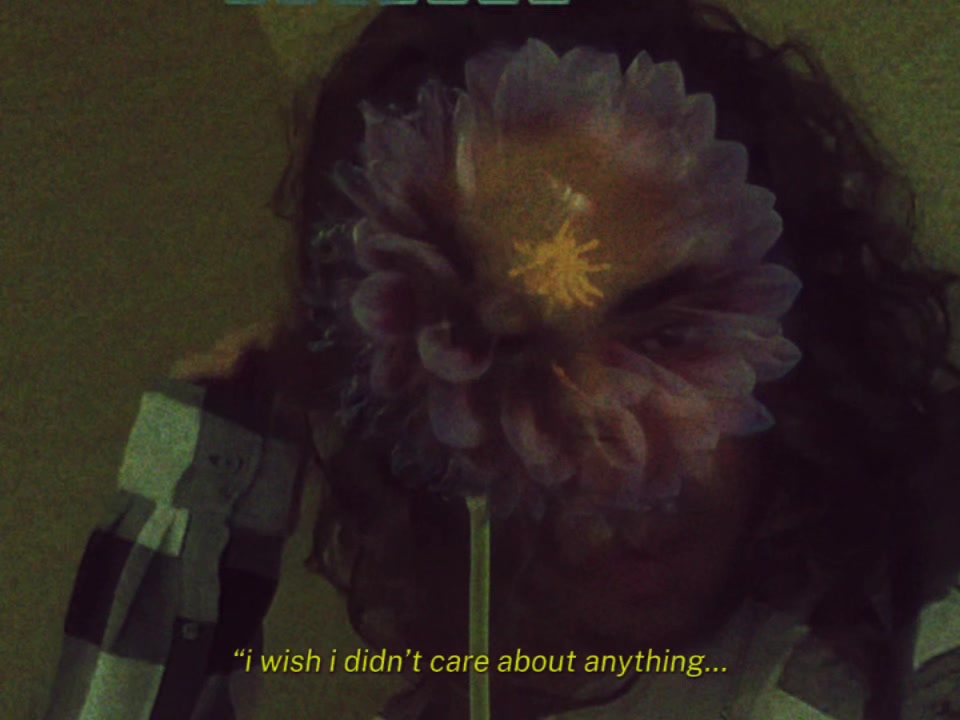 @✩𝔧𝔲𝔧𝔲✩