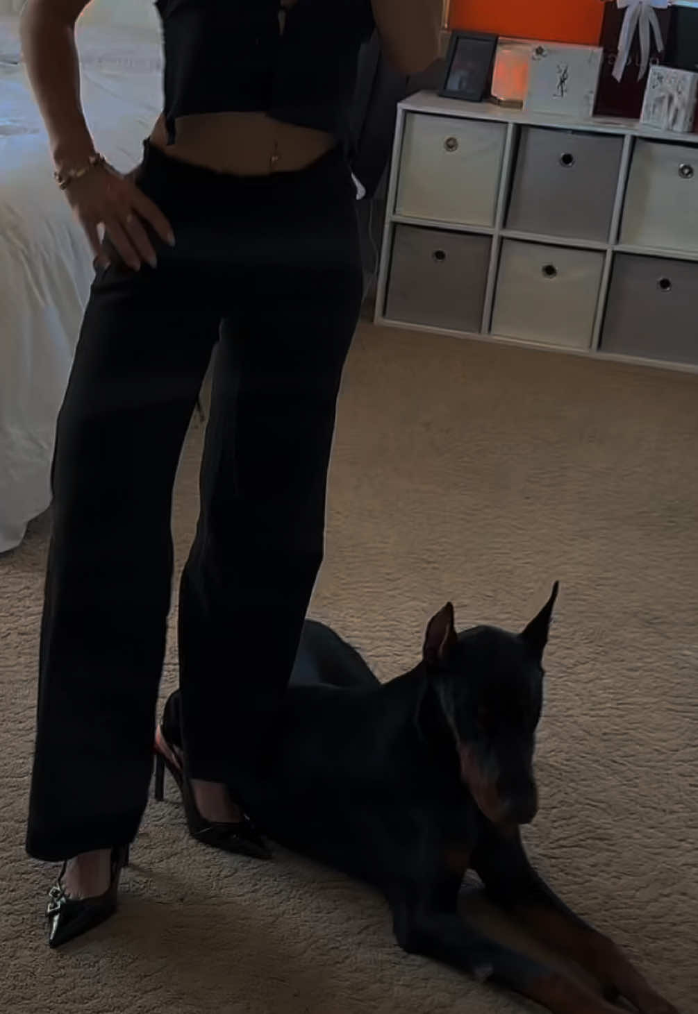 @The doberman girl🖤