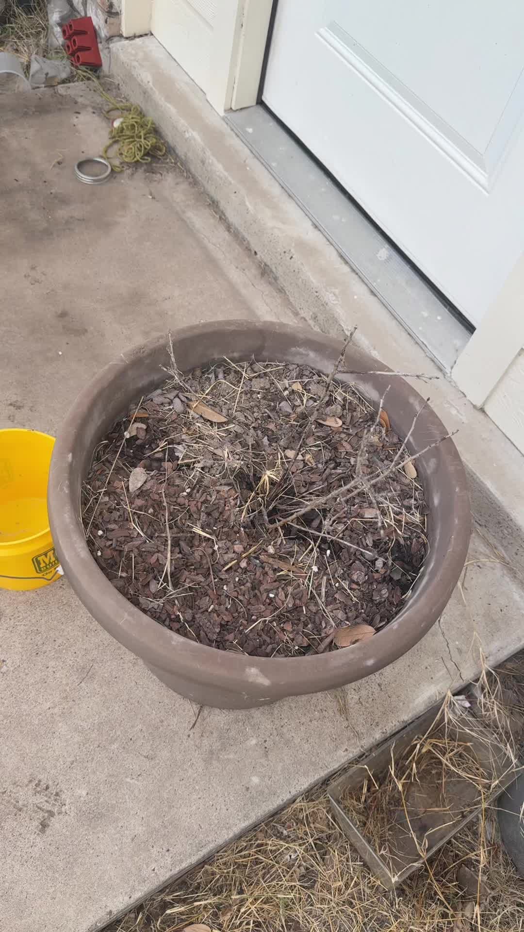 @themagicvalleygardener