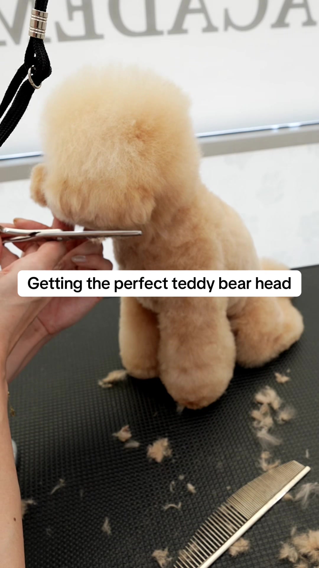 @NorCal Grooming Academy