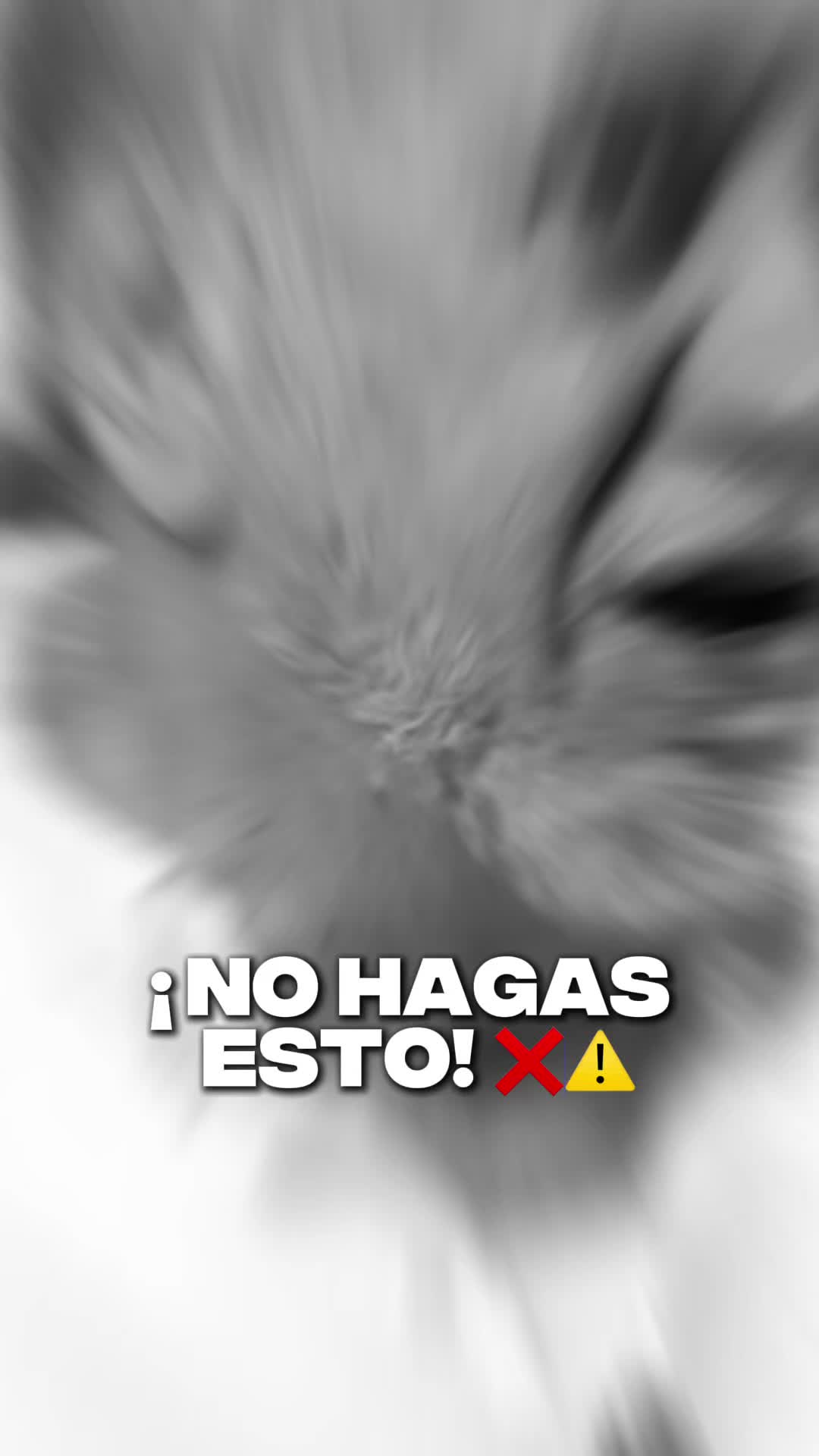 @Md Cu&aacute;ntica/Astr&oacute;logo/C Astral