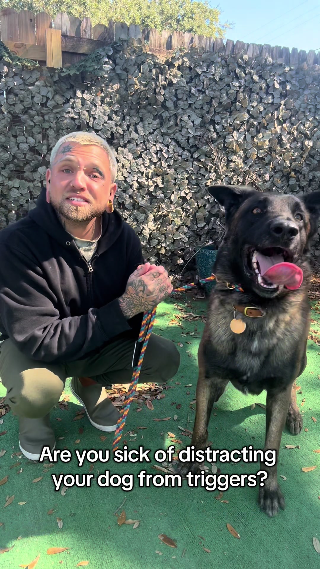 @balancedcanineacademy
