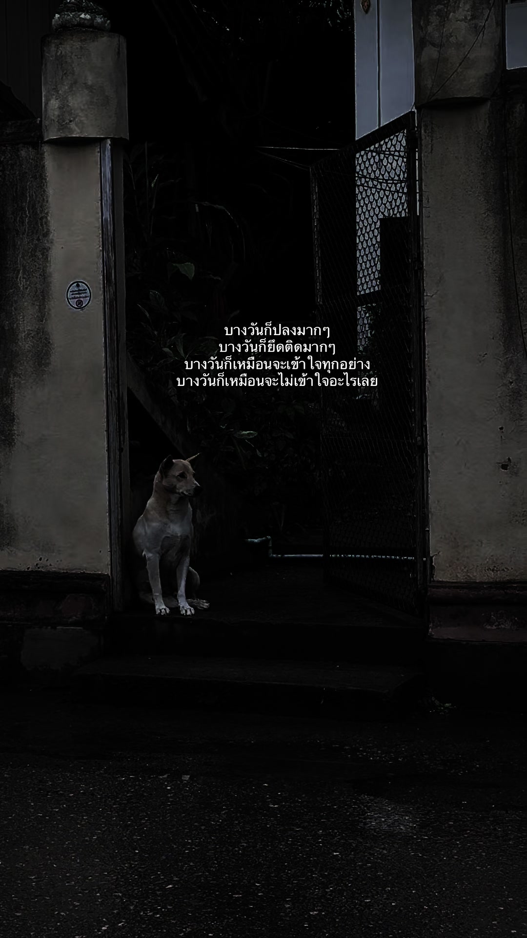 @ช่องนี้มันเศร้า🥺.