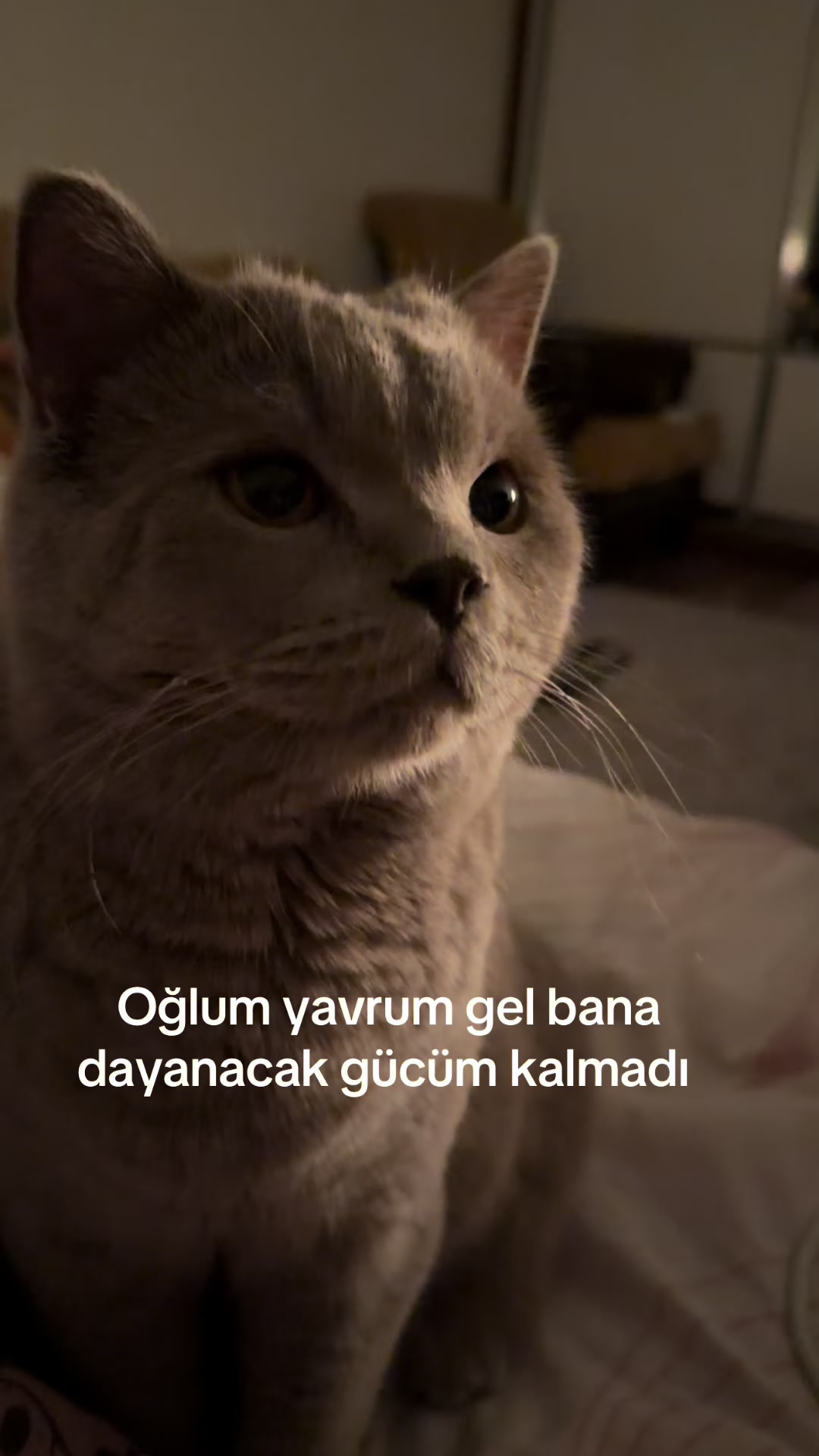 @BULUT KAYIP