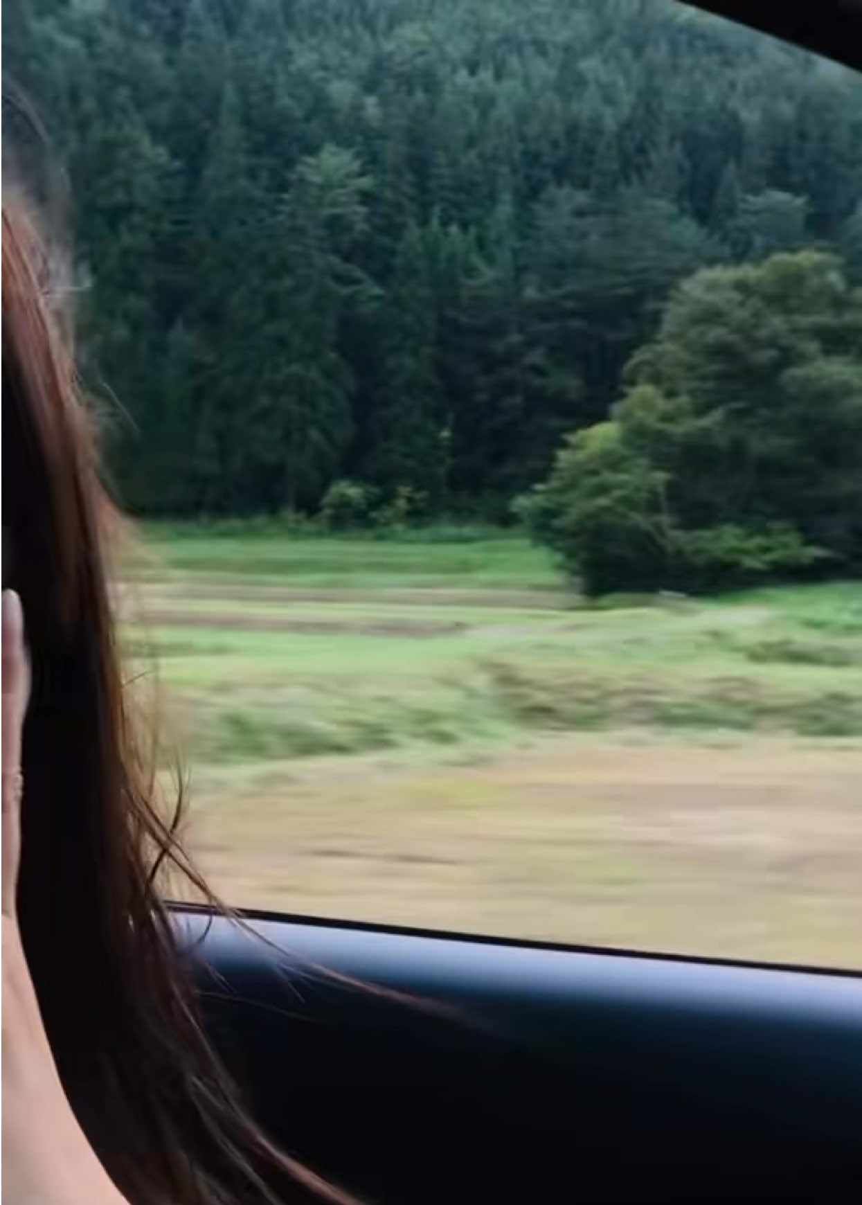 @kani