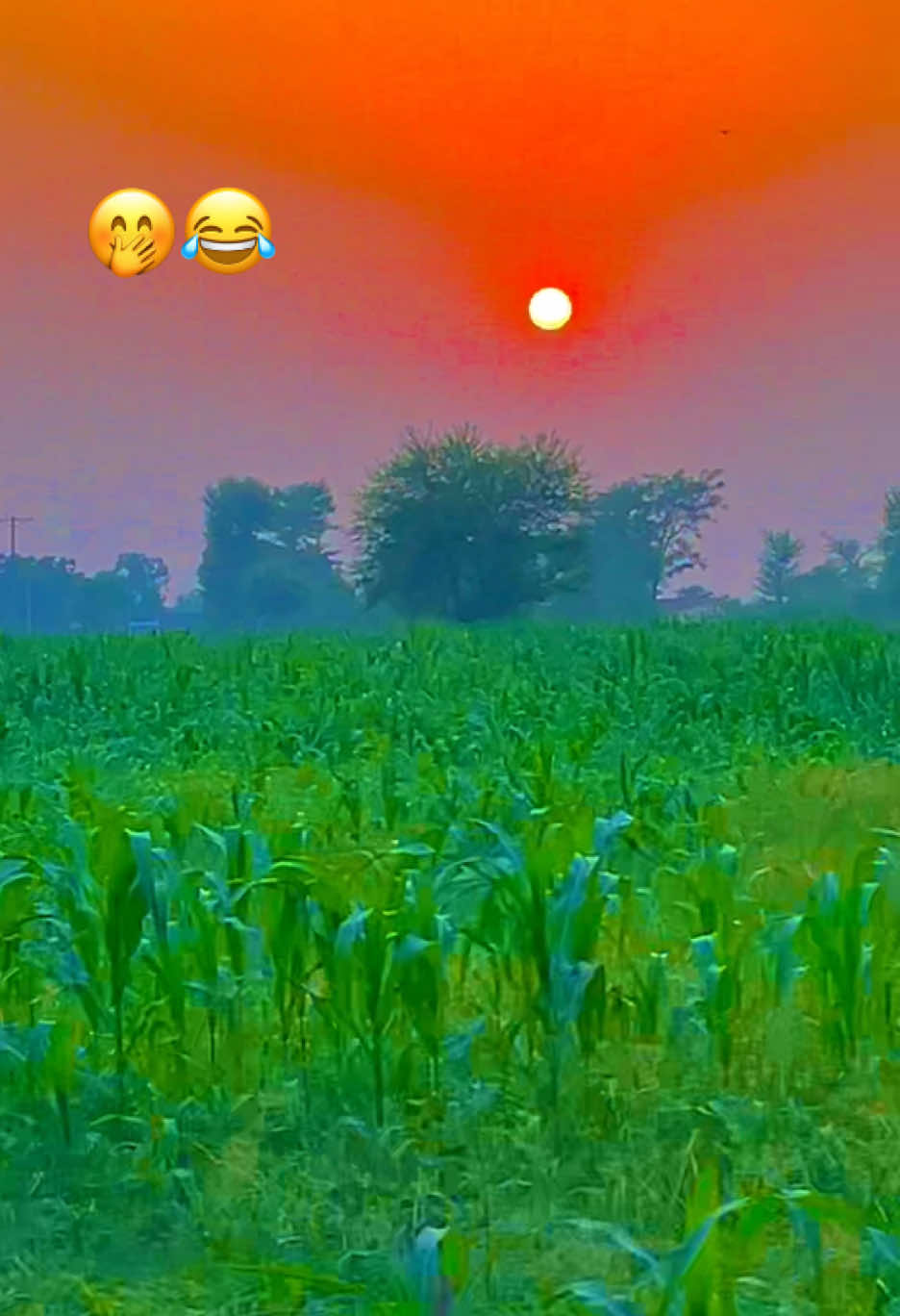@😎اویس راجپوت🕊️❤️🔥