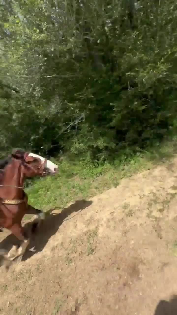 @Tetris_eq