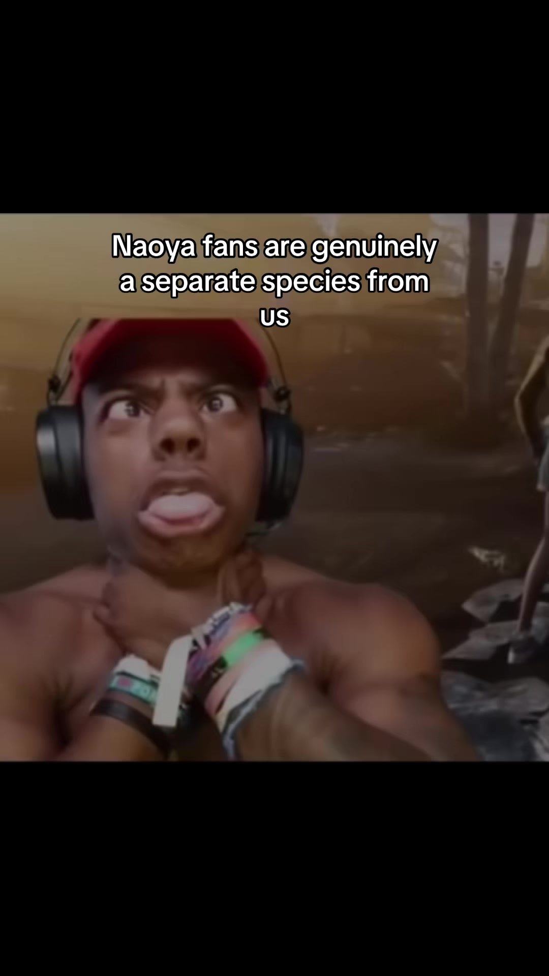 @dingus