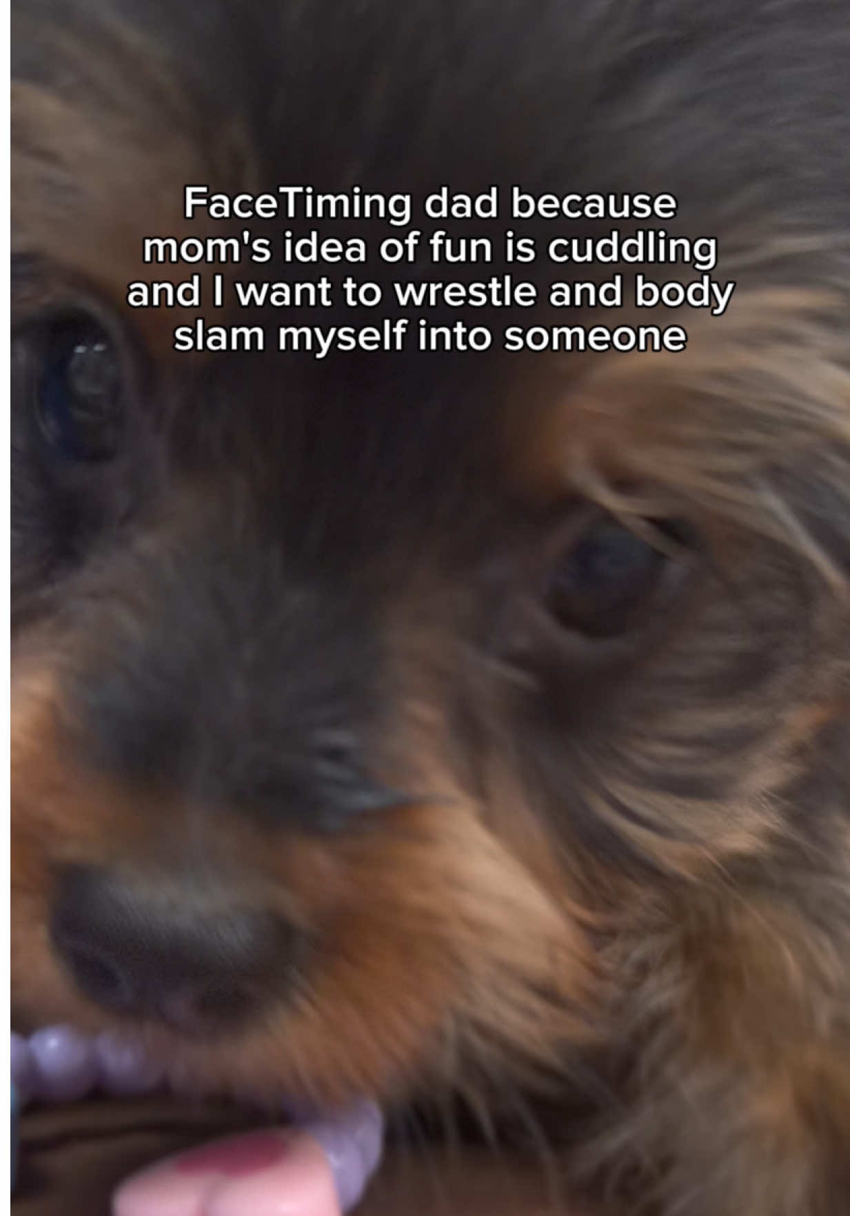 @Petland Oklahoma City