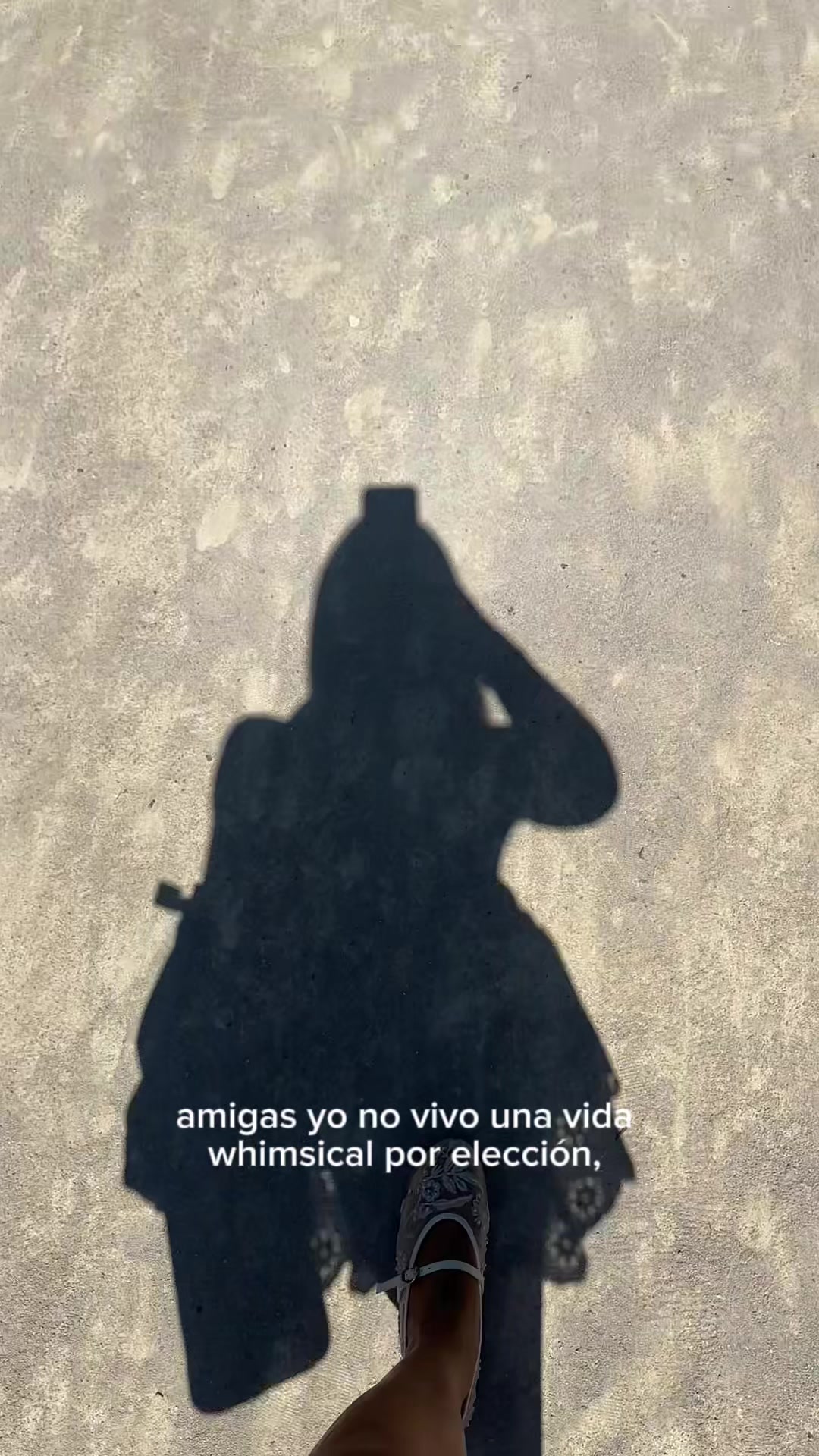 @camilabarreraart
