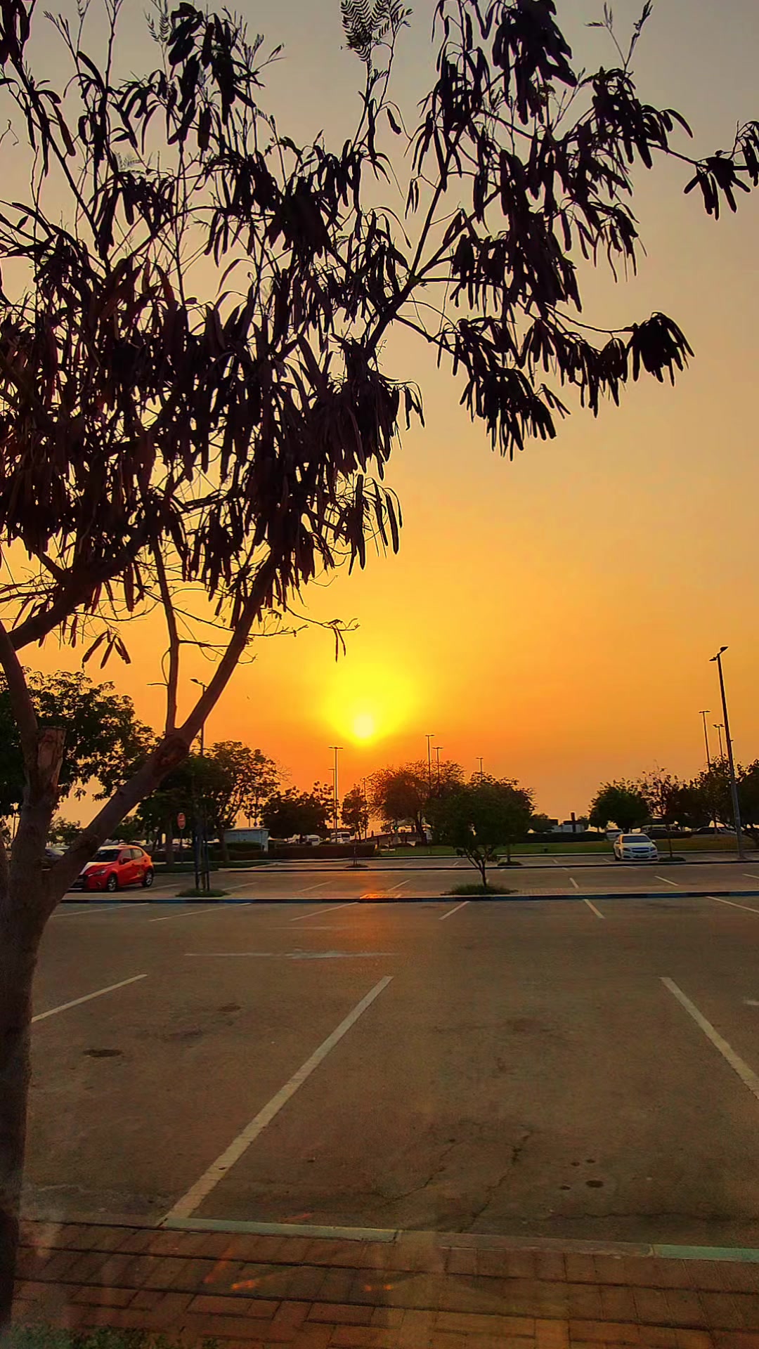 @IFTIKHAر 🇦🇪