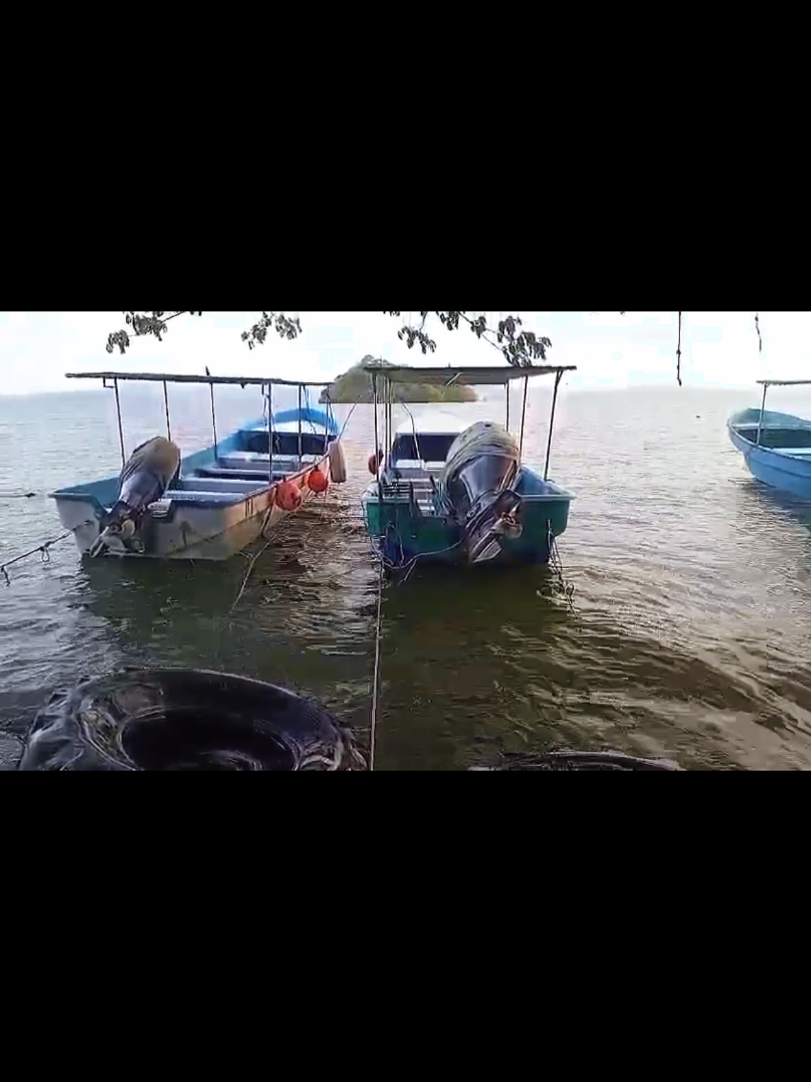 @Rasta Tours CR