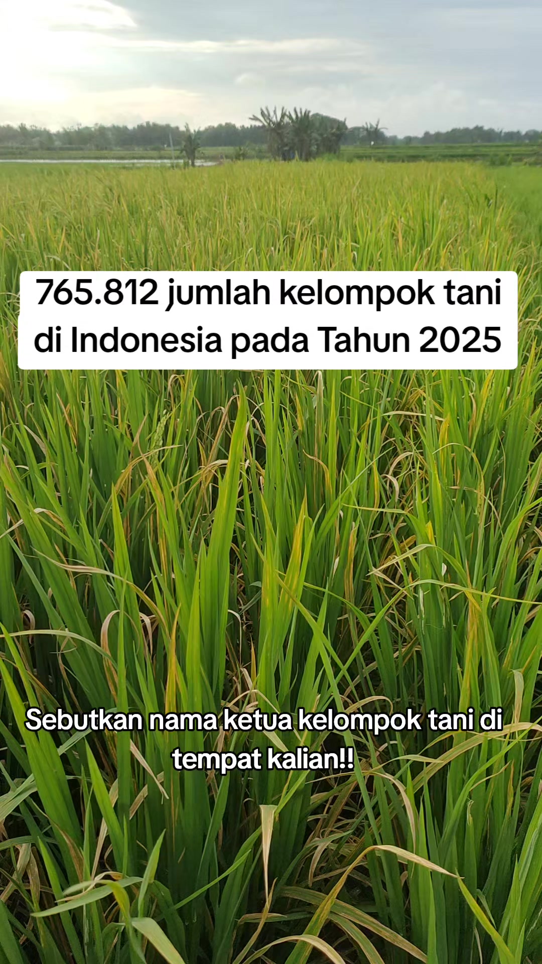 @ahmad mundir