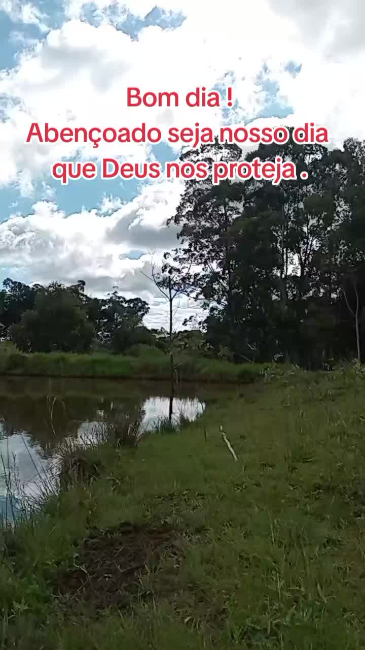 @Marlusa Ferreira Moreira