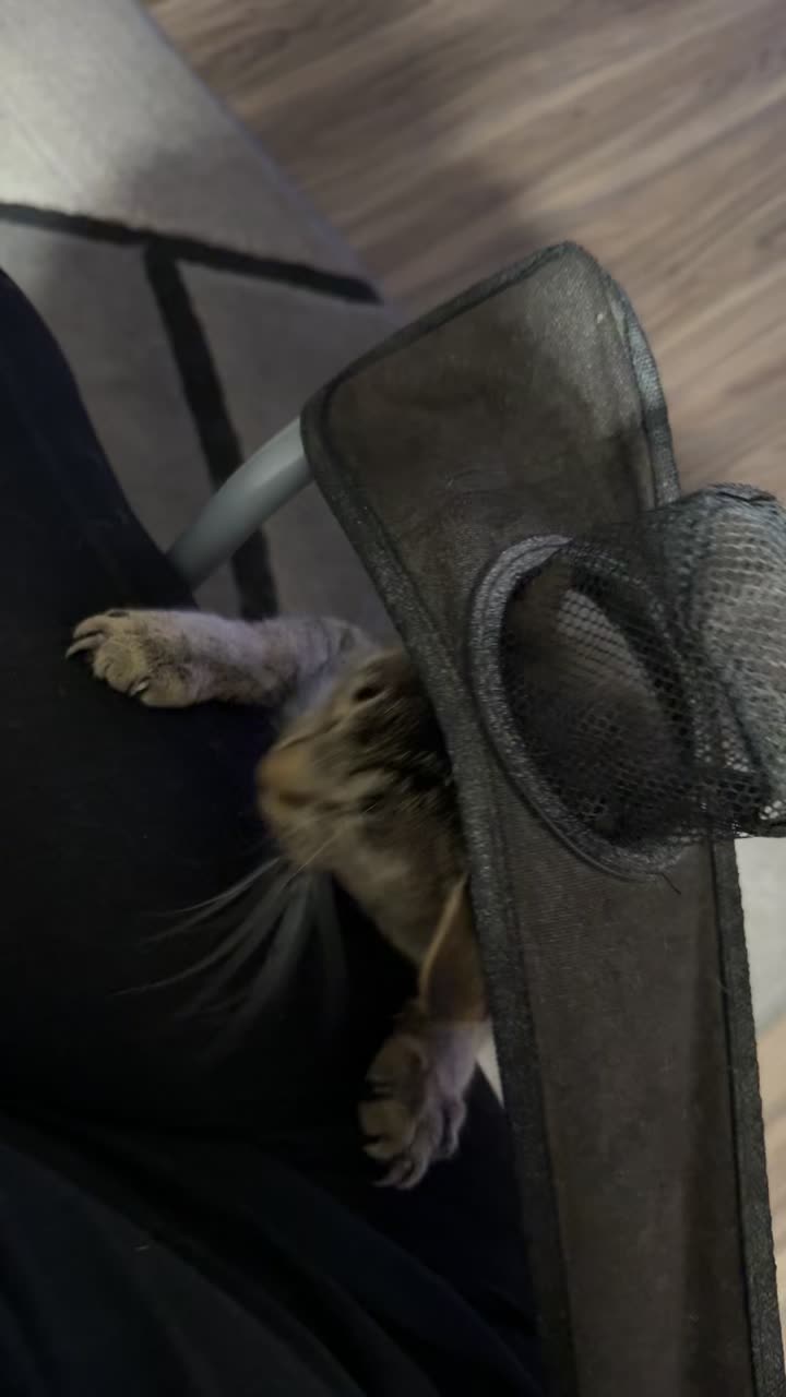 @Kat