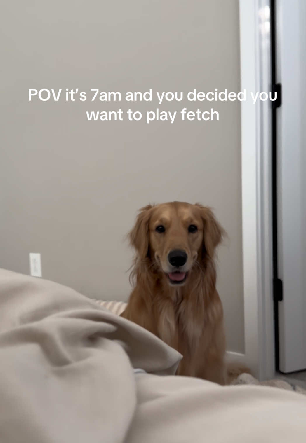 @novathegoldenn