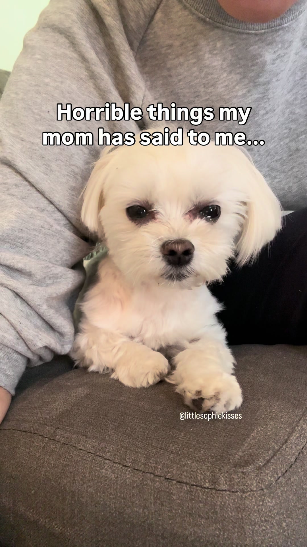 @Little Sophie kisses