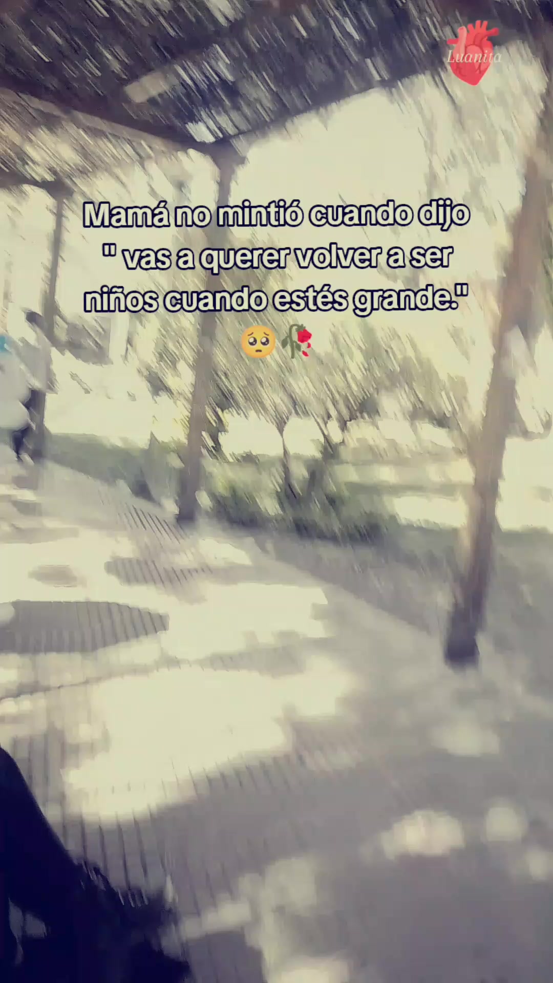 @꧁🌸𝕃uα𝕟itα🌸꧂
