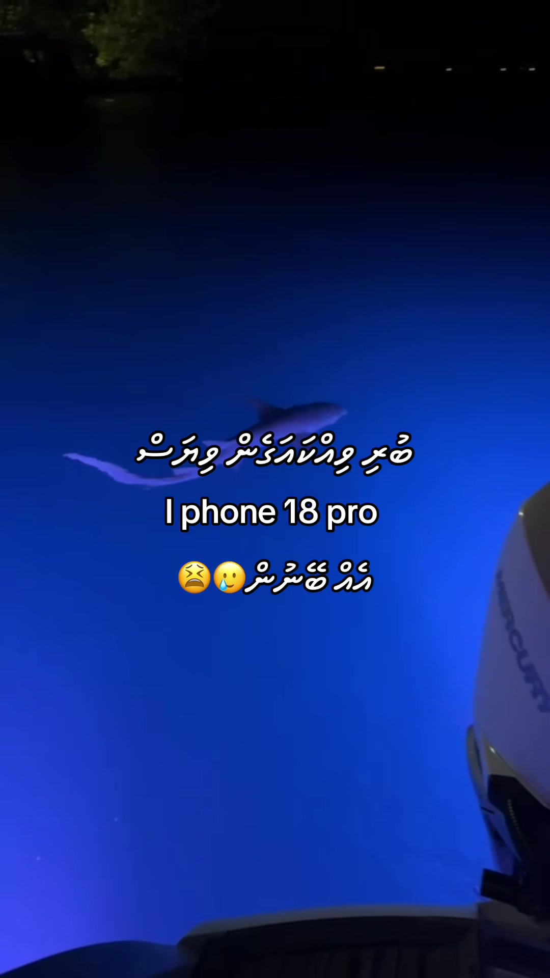 @Six_+1