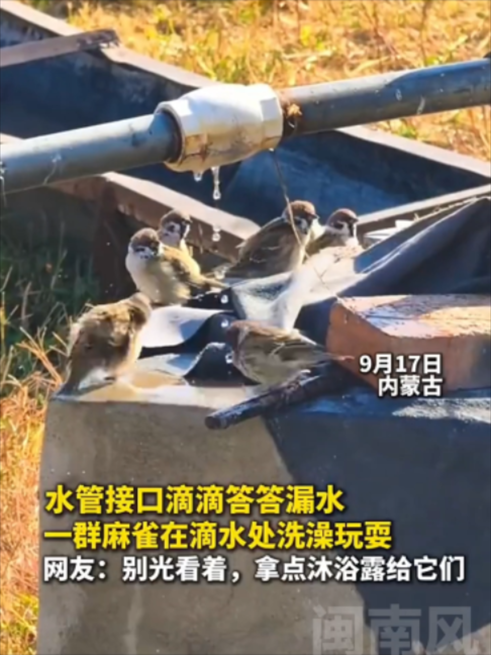 @闽南风~
