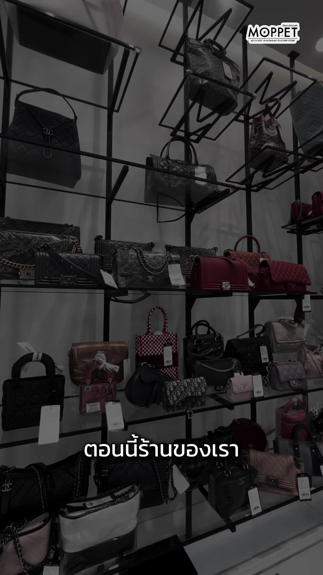@MOPPET BRANDNAME