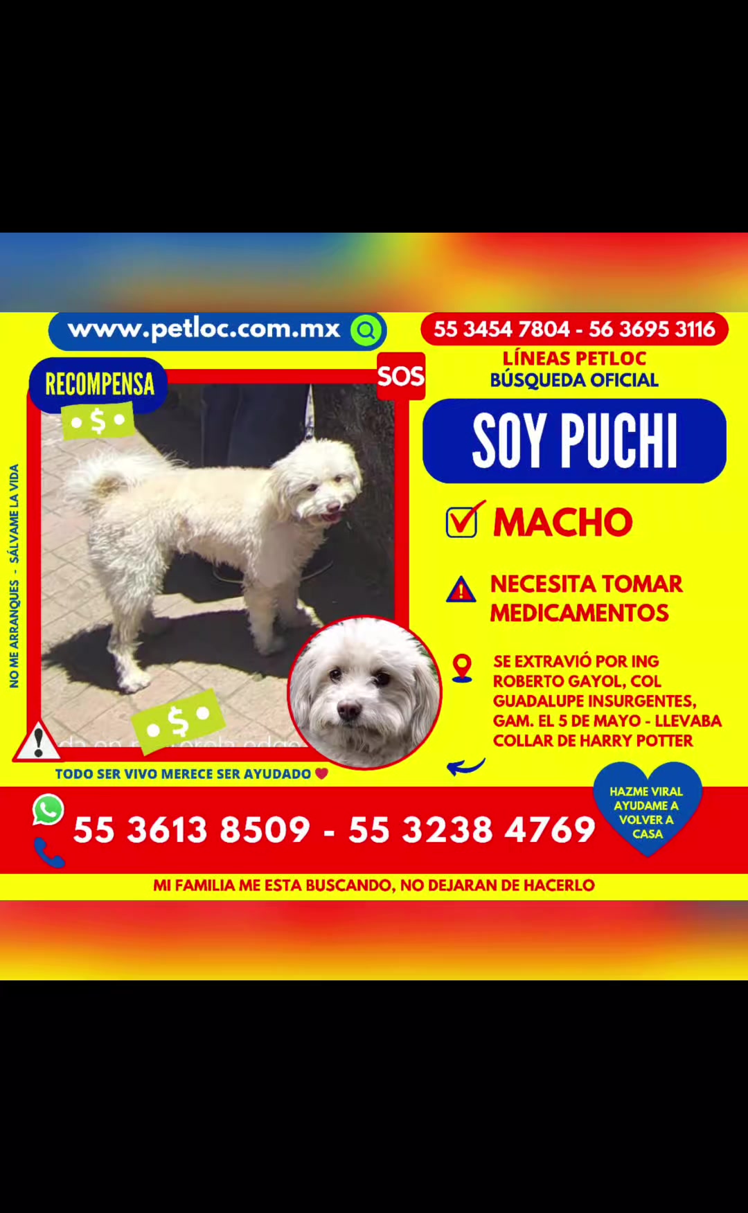 @Susi McFly