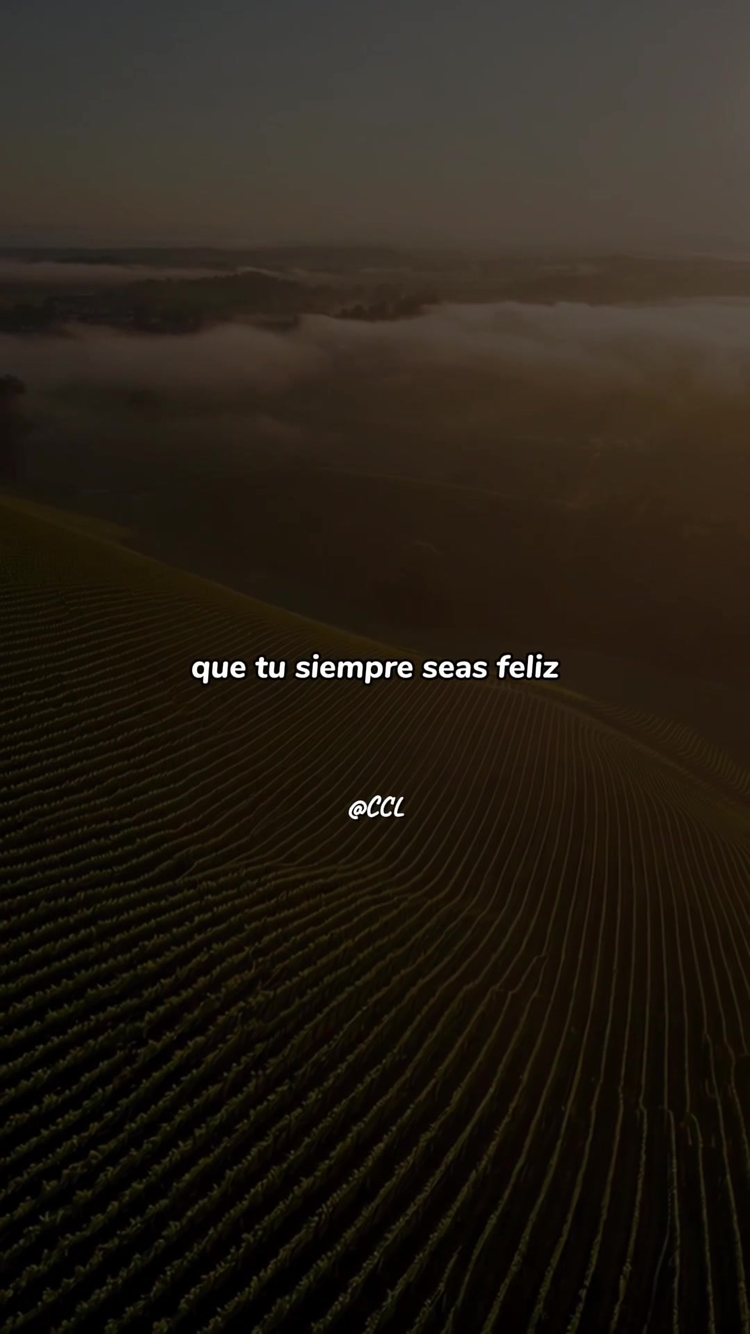 @SonicFlow
