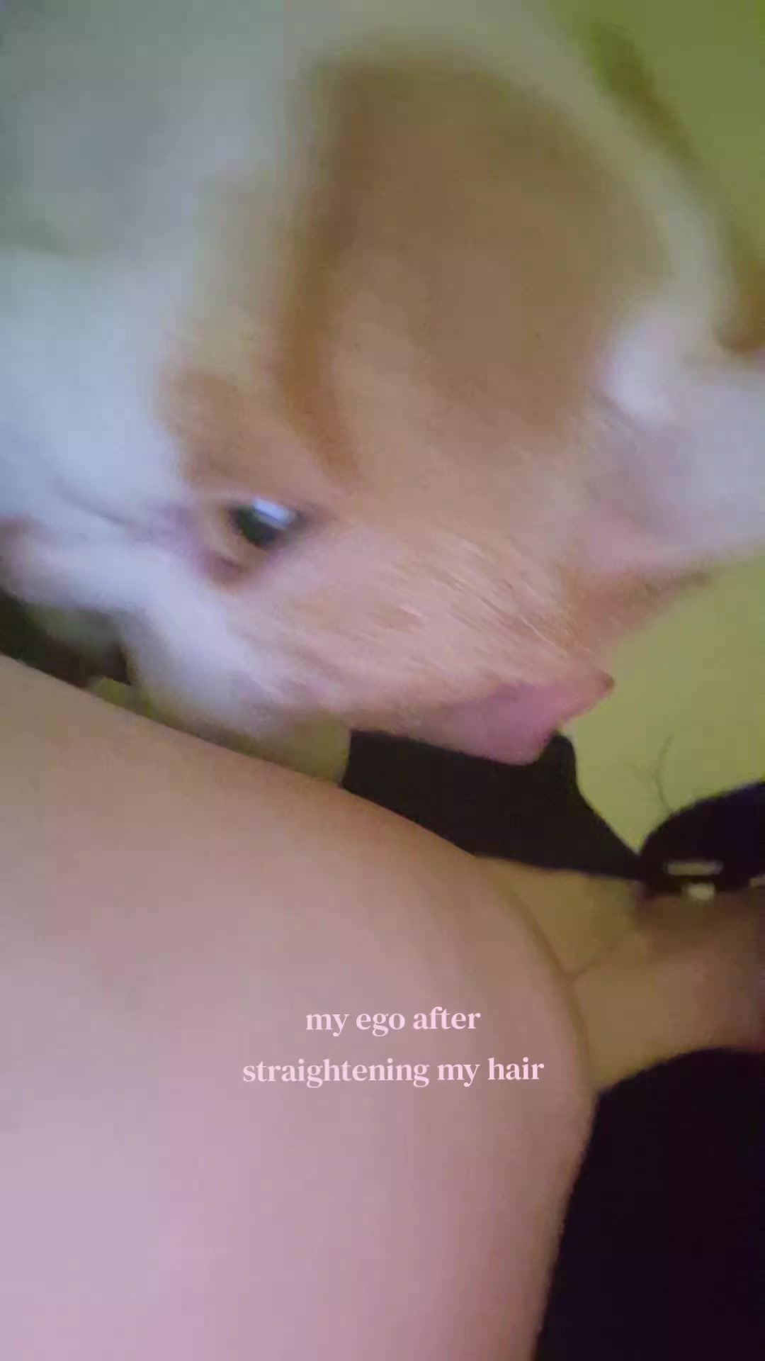 @𖦹⋆。‧˚𝓜🍰🧁