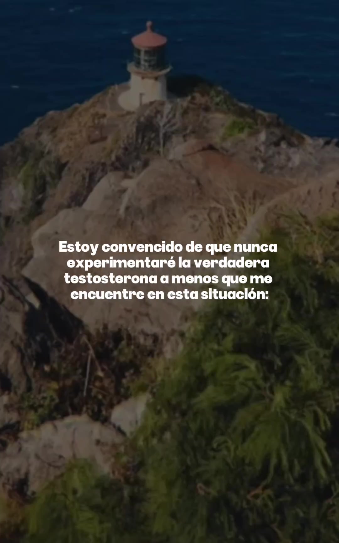 @Mateojaramil | Testosterona