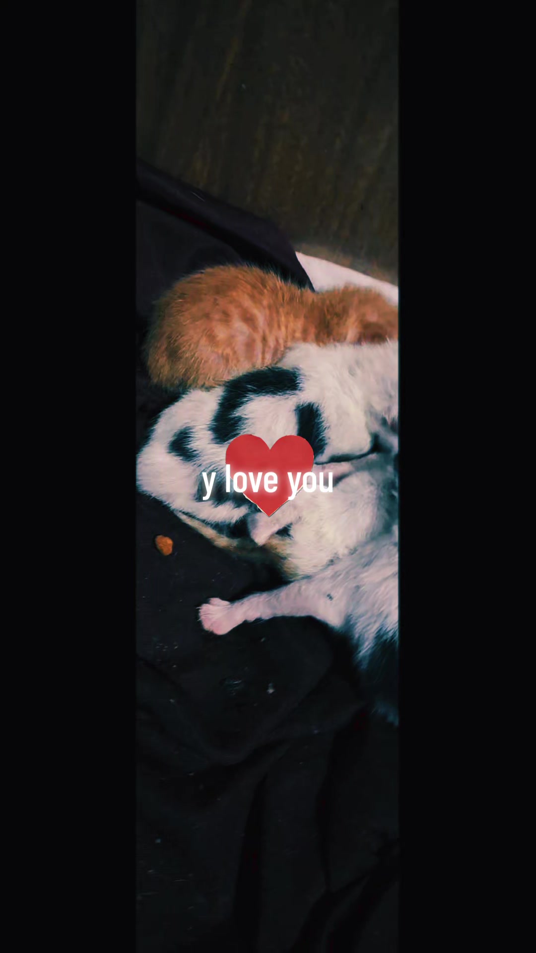 @uma_menina_quaquer💕💞