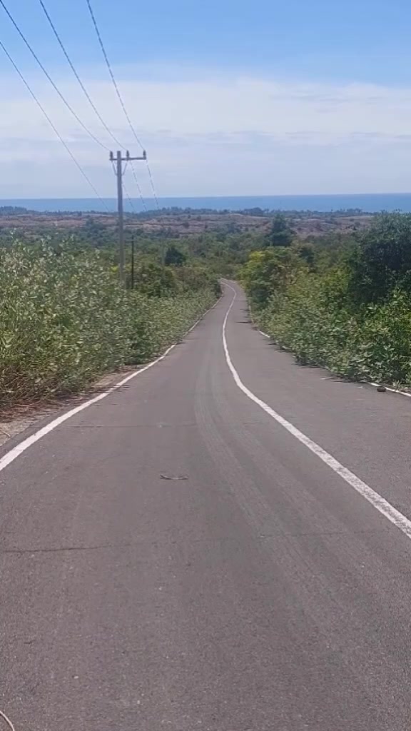 @PAK TANI