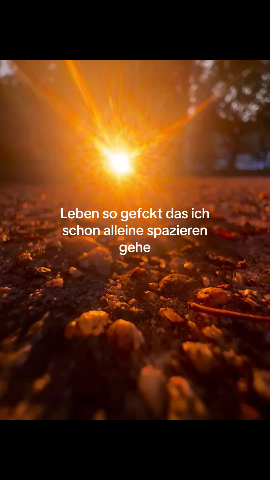 @official_zitate47