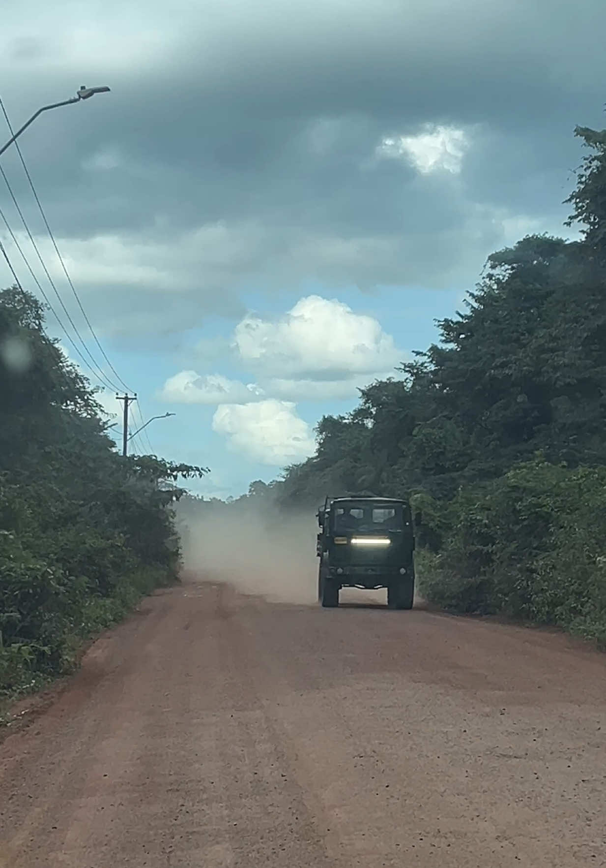 @Mercedes In The Jungle