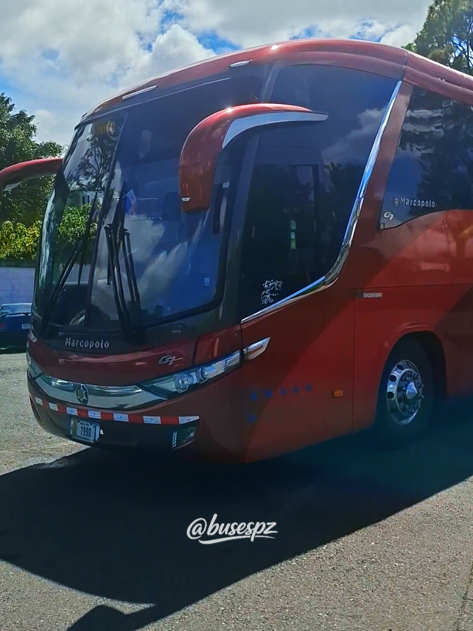 @BUSES PZ | BPZ