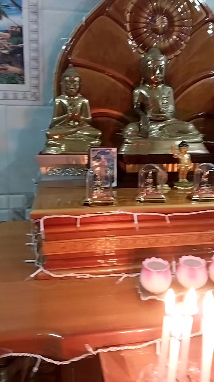 @phyu