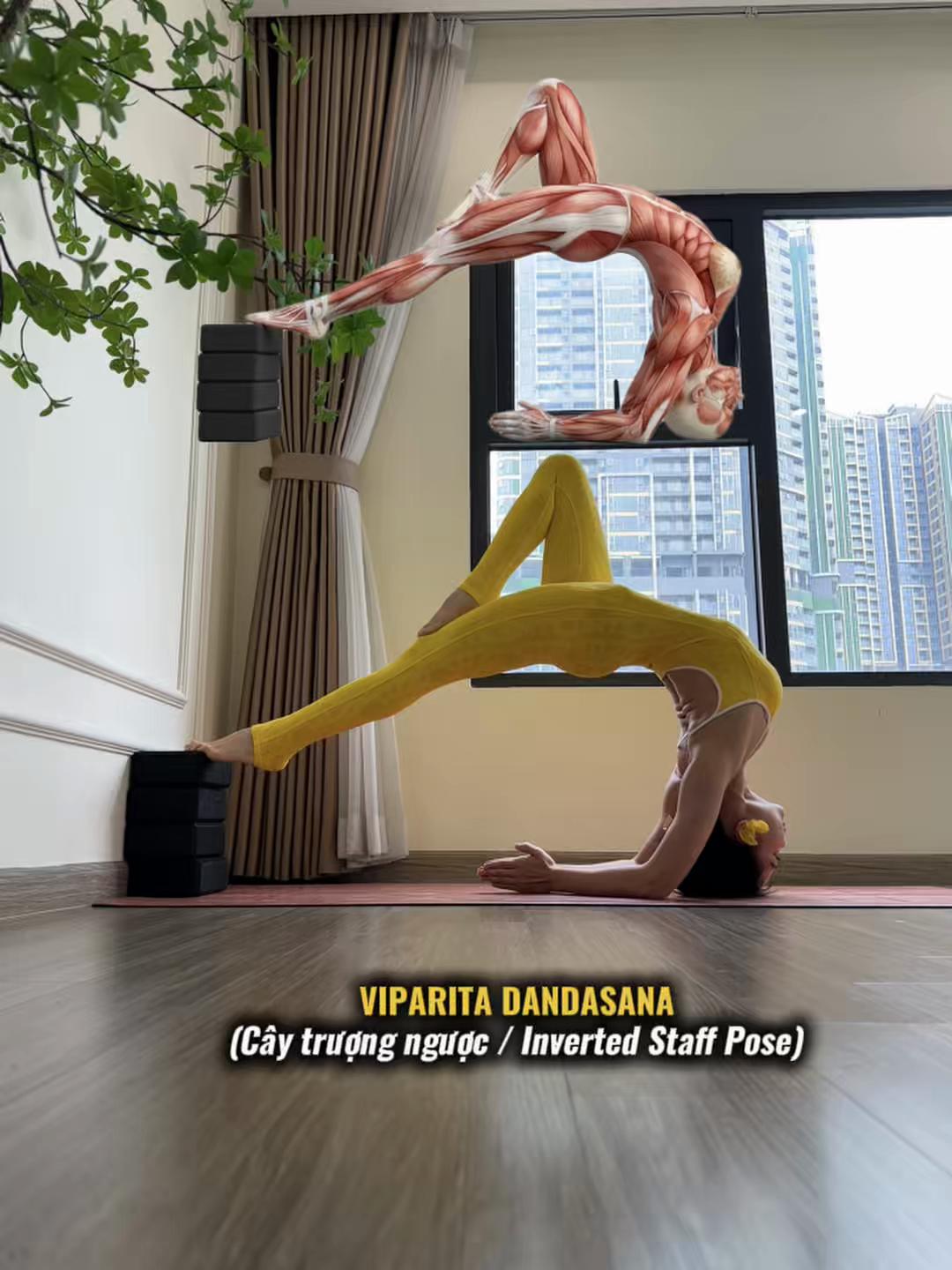 @Giảng viên Yoga Diệu Yến