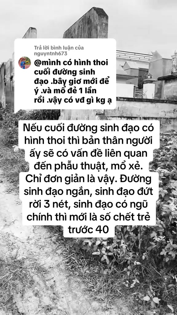 @Quốc Tiến ✅