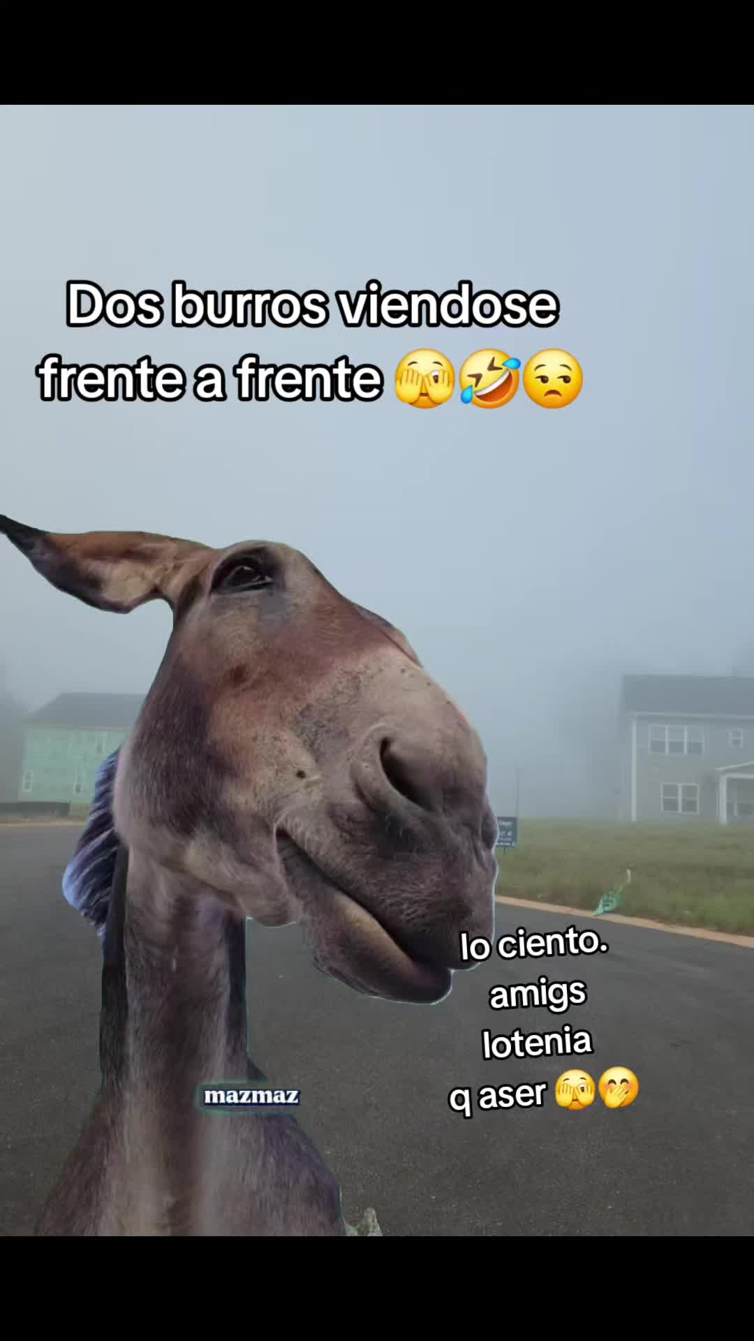 @🇭🇳t&oacute;xica 🇭🇳