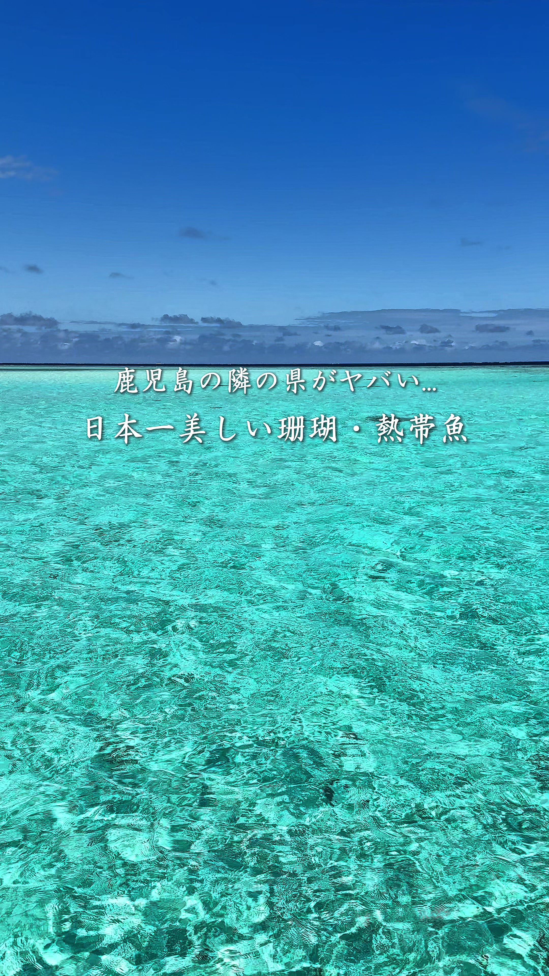@ポポの休日🌿鹿児島&九州旅🐕